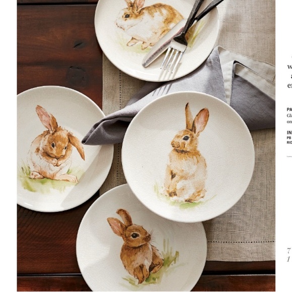 New Pottery Barn Pasture Bunny Easter Salad Plates S/4 BNIB 8”D